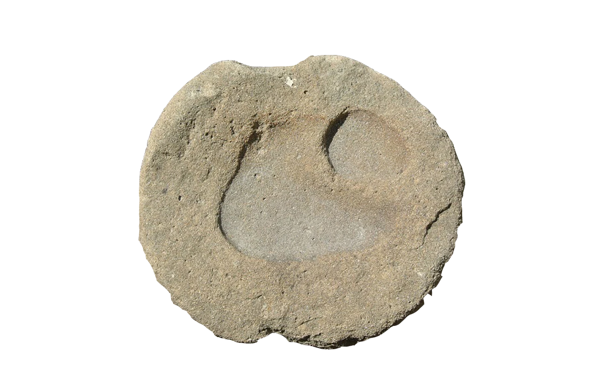 Pietra_Antica